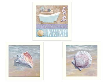 "Shells II Collection" 3-Piece Vignette By Mollie B. and G. Janisse, Printed Wall Art, Ready To Hang Framed Poster, White Frame