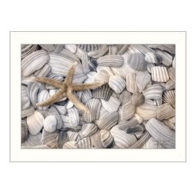 "Starfish and Seashell" By Lori Deiter, Printed Wall Art, Ready To Hang Framed Poster, White Frame