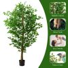 6ft Ficus Tree Artificial, Realistic Texture Potted Faux Ficus Tree, Fake Trees Indoor Outdoor for Home Office Living Room Bedroom Foyer Porch Decor