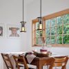 Vintage Rustic Pendant Light Metal Cage Pendant Lamps with Adjustable Length Farmhouse Caged Hanging Lamp for Kitchen Island Living Room Dining Room E