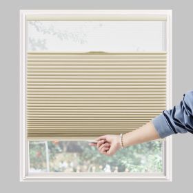 WELLSOURCE Day&Night Cellular Shades, Blackout Top Down Bottom Up Honeycomb Blinds for Windows, Cordless Window Shades with Sheer (Color: Beige, size: Custom Size)