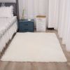 1pc, Soft Plush Area Rugs for Bedroom and Living Room - Fluffy and Fuzzy Shag Shaggy Carpet - Perfect for Kids, Girls, Boys