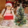 24 Inch Small Christmas Tree for Tabletop Holiday Decoration