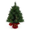 Small Christmas Tree for Tabletop Holiday Decoration