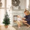 24 Inch Small Christmas Tree for Tabletop Holiday Decoration